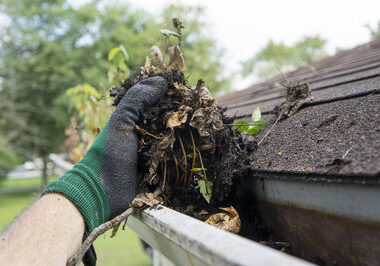Gutter Cleaning in Vadnais Heights