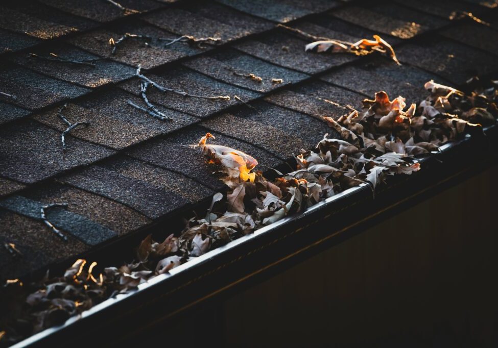 blocked-gutters